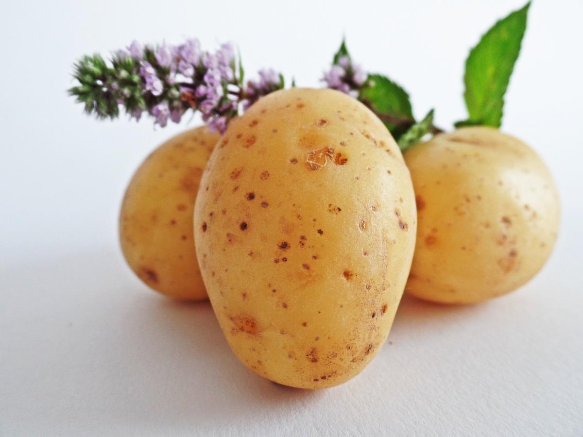 Ricette facili e golose: la millefoglie di patate in padella