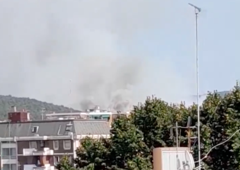 Gorizia, incendio al Lisert di Monfalcone: chiusa la strada statale 14. Cosa è successo? | VIDEO