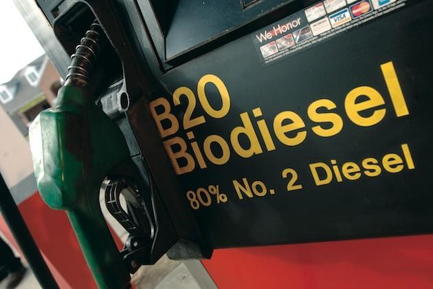 Biodiesel cos’è: come viene prodotto e quali vantaggi offre per la mobilità sostenibile?