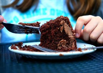 Torta al cioccolato, senza burro e vegana. Le ricette golose che piacciono a tutti