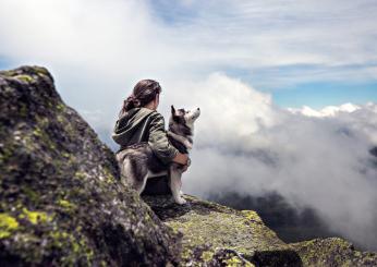 Posso portare il mio cane in montagna? Errori da evitare in alta quota