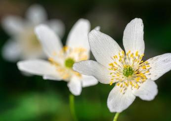 Buongiorno arrivederci aprile 2024: frasi di buon fine mese