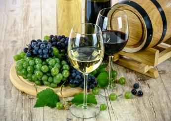 Quante calorie in un bicchiere di vino? Attenzione alla differenza tra bianco e rosso