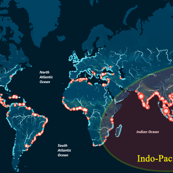 Indo-Pacifico: dall’innovazione tecnologica all’economia, che cos’è e come influisce sugli equilibri globali