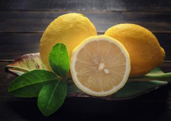 Perché i limoni non vanno in frigo? Come conservarli per mantenerli…