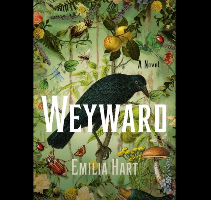 “Weyward” di Emilia Hart: protagoniste, trama e significato di un romanzo sull’autodeterminazione femminile