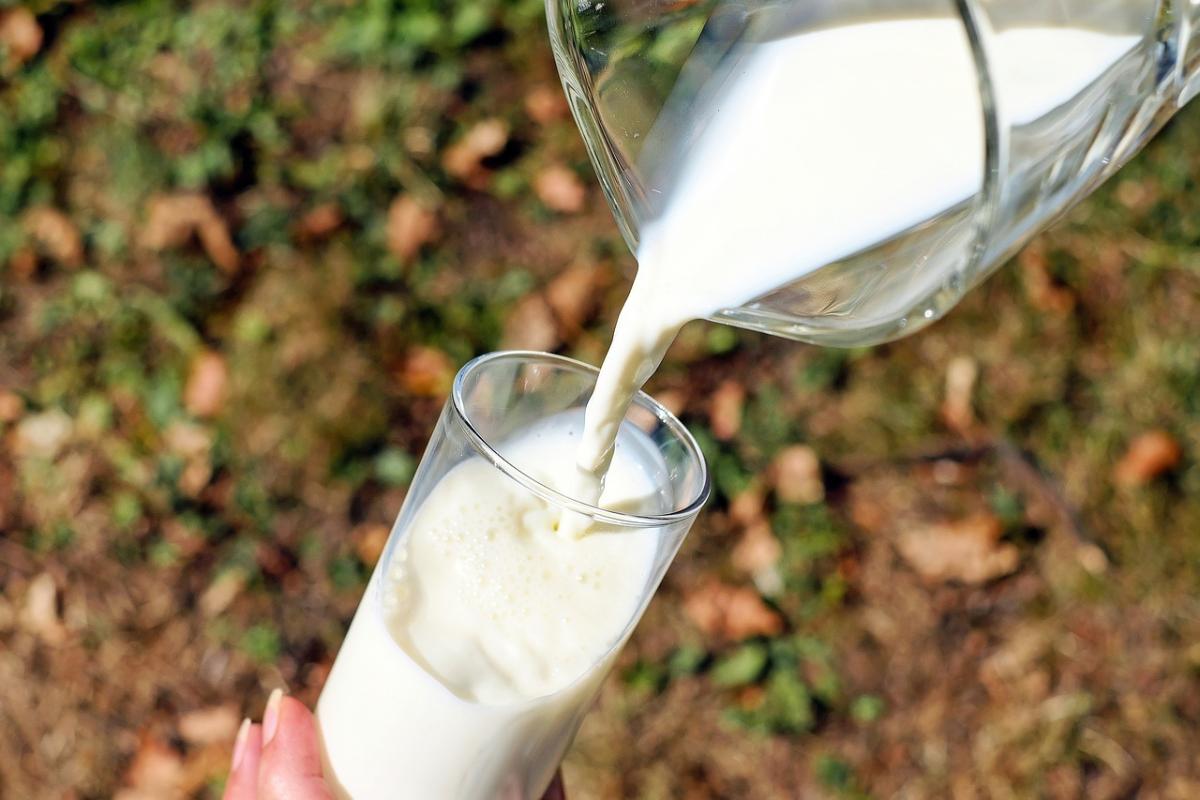 Che cos’è l’allergia al latte, cosa provoca e quali precauzioni seg…