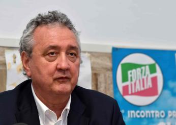 Nuoto, sospeso il presidente della Fin Paolo Barelli