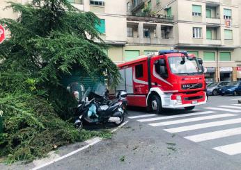 Crotone, maltempo della notte: una tromba d’aria danneggia i tetti …