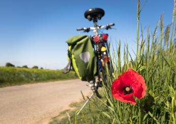 Ecosistema Urbano 2023: quali sono le città più green d’Italia? Sorprese e conferme