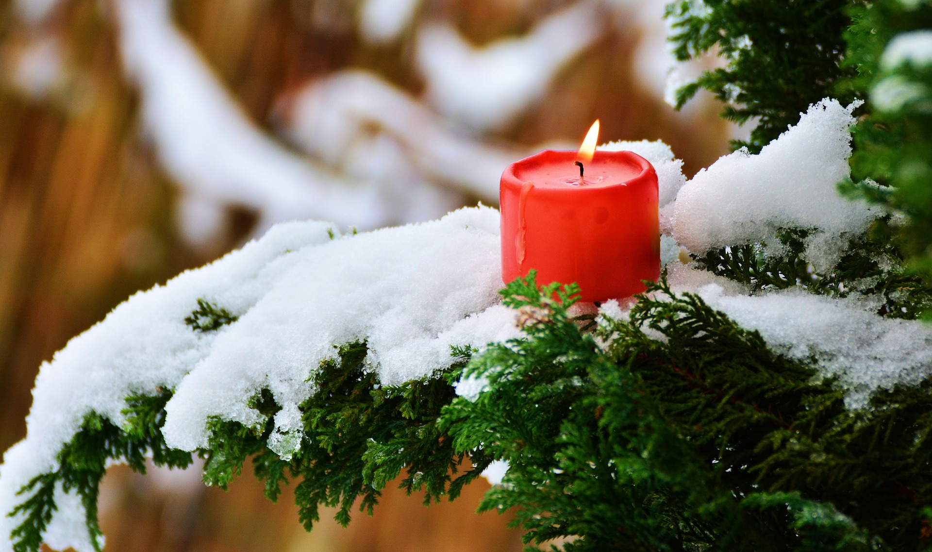 La candela fai da te al profumo di arancia: il regalo di Natale perfetto