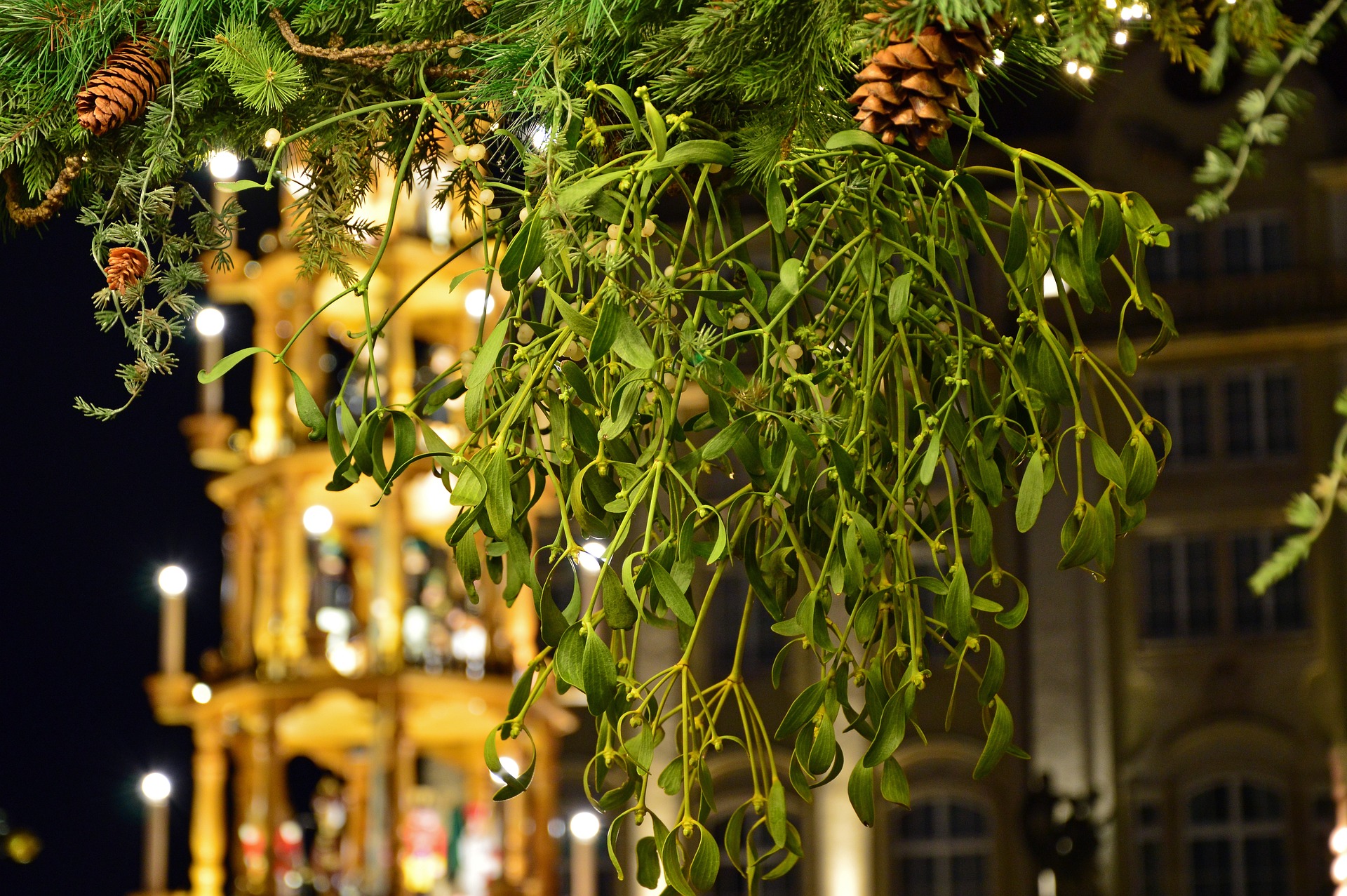 Vischio Natale significato