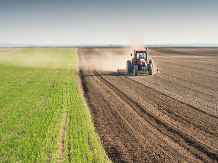 Contributi a fondo perduto agricoltura fino al 100%, aperta la piat...