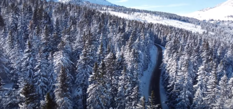 Meteo Trentino Alto Adige: arriva la neve a Trento e Rovereto, calano le temperature | FOTO