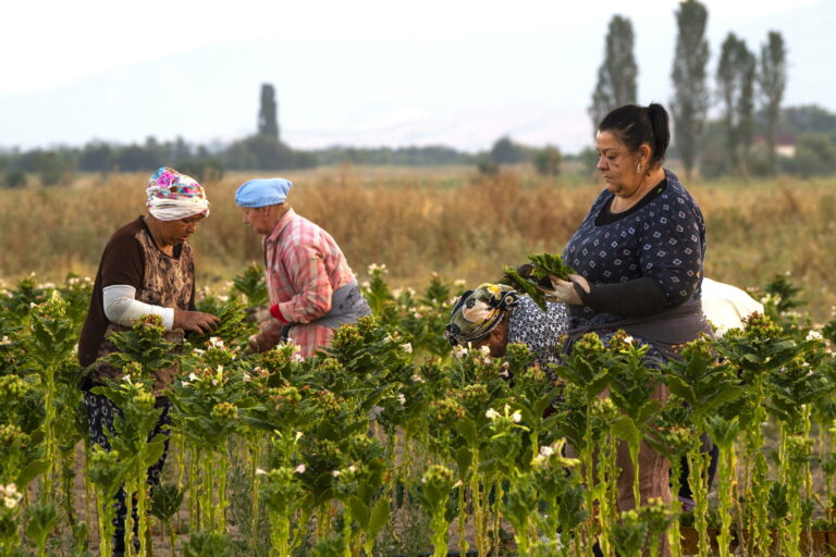 OTD e OTI: rilevazione delle retribuzioni dei lavoratori del settor...