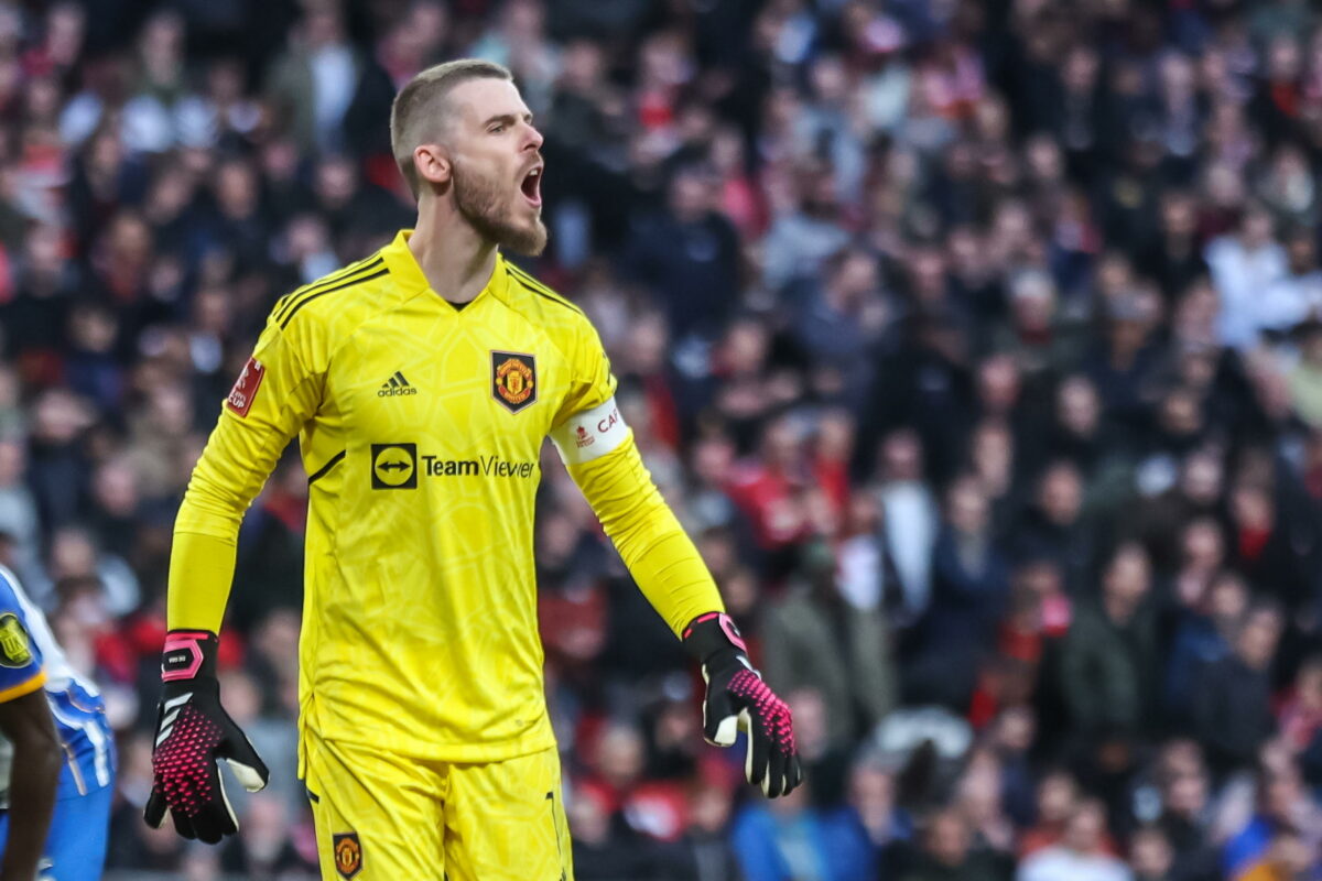 De Gea alla Fiorentina, le cifre dell'operazione: quanto spenderanno i viola?