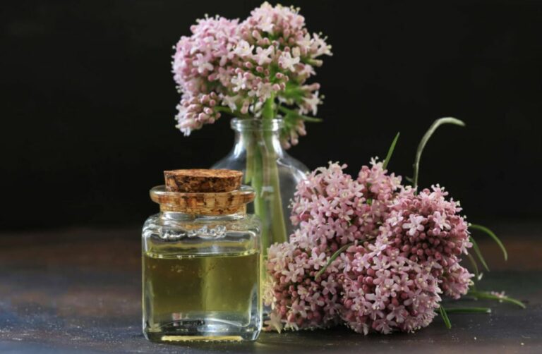 La valeriana contro lo stress è un'alleata efficace, quanta usarne ...