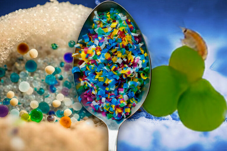 Microplastiche: cosa sono e come alterano gli ecosistemi naturali