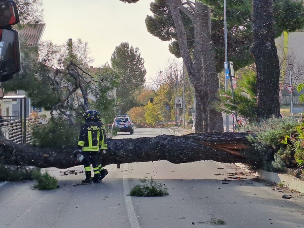 Allerta meteo, continue piogge: Po salito di due metri in un giorno