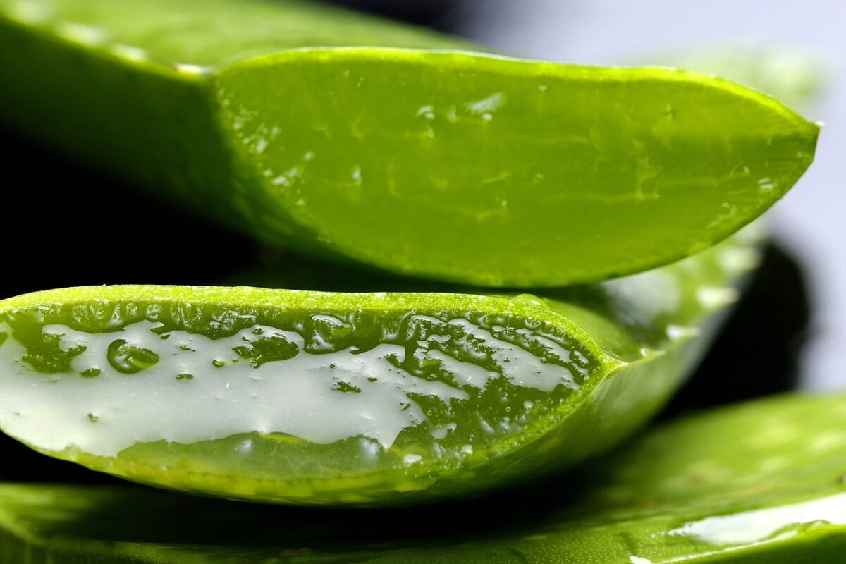 Benefici del gel di aloe vera per la pelle e i capelli: 5 metodi di...