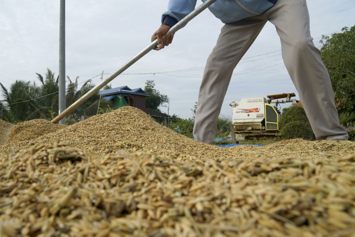 Mantova, tragico incidente sul lavoro a Castiglione Mantovano: morto un agricoltore