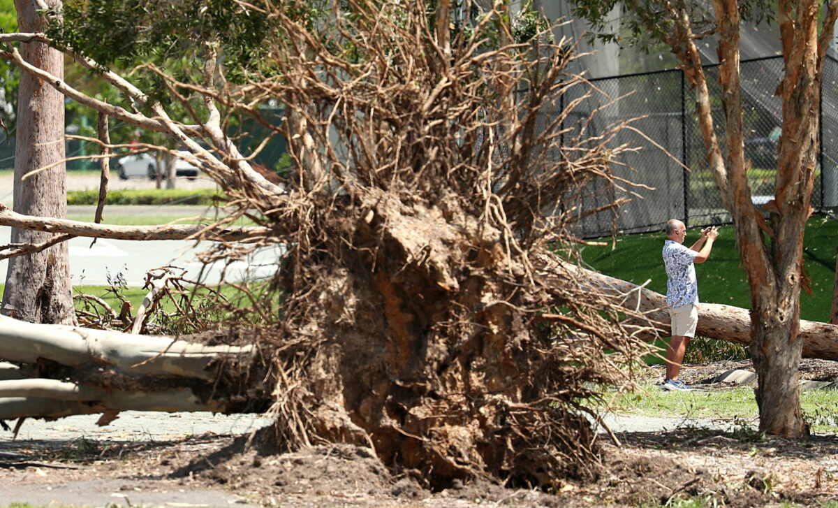 Massa Carrara, 69enne muore travolto da un albero ad Aulla in Lunigiana