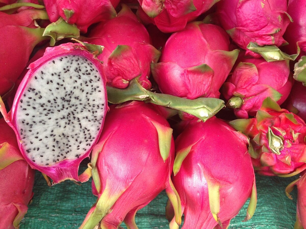 Pitaya: ricette con il frutto del drago