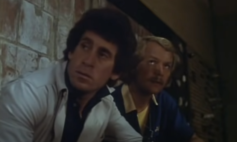 Trama "Starsky e Hutch": quante stagioni ha avuto e come finisce la serie tv?