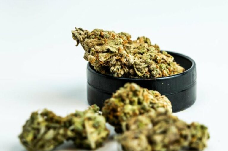 Cosa si cura con la cannabis terapeutica, dove acquistarla e quali sono gli effetti collaterali