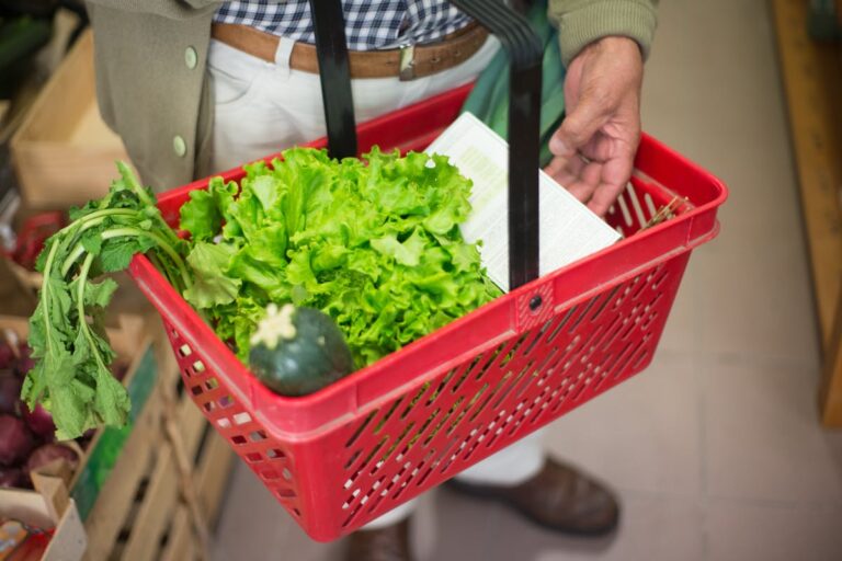 Reddito alimentare, domande fino al 31 marzo 2024: dove si svolge la prima fase