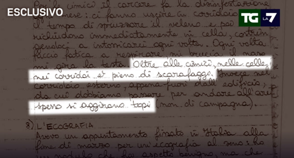 Ilaria Salis, il memoriale dal carcere di Budapest: "Rinchiusa 23 ore su 24 in una cella minuscola con cimici e scarafaggi"