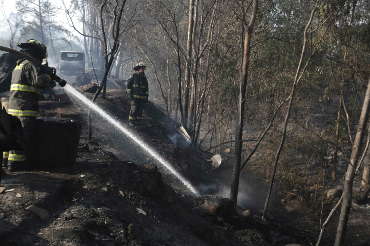 Cile, lotta contro gli incendi boschivi: dichiarato lo stato di emergenza