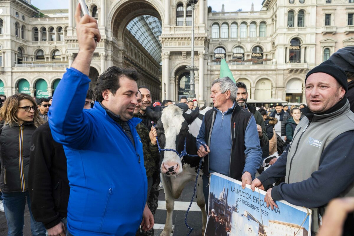 Agricoltori, maggioranza divisa: la Lega con Centinaio chiede di intervenire sull'Irpef. Donzelli e Barelli accusano l'Europa| VIDEO