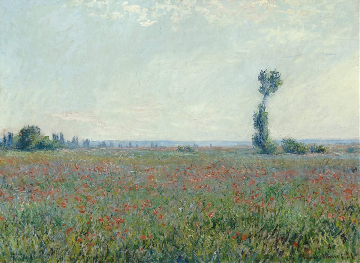 Mostra Monet Padova 2024: date, orari, biglietti e opere