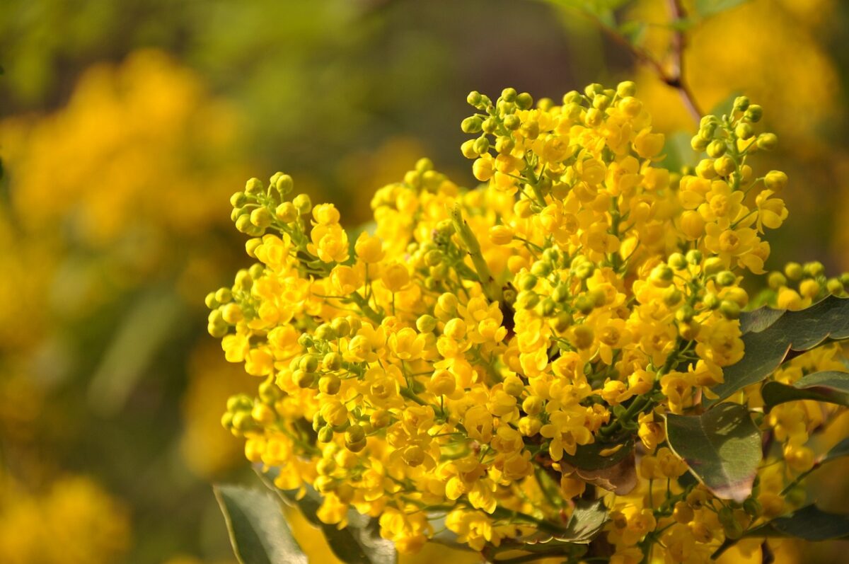 Festa della donna 2024, regali e idee per l'8 marzo