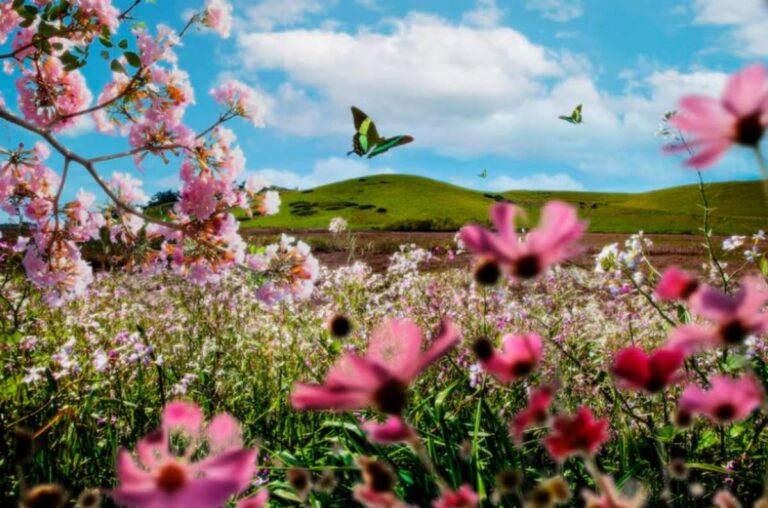 L'impatto della primavera sulla salute, ecco tutti i benefici della bella stagione