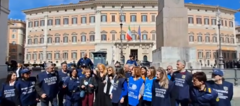 Reati contro gli animali, associazioni a Montecitorio. Michela Brambilla: "La mia proposta di legge inasprisce le pene" | VIDEO