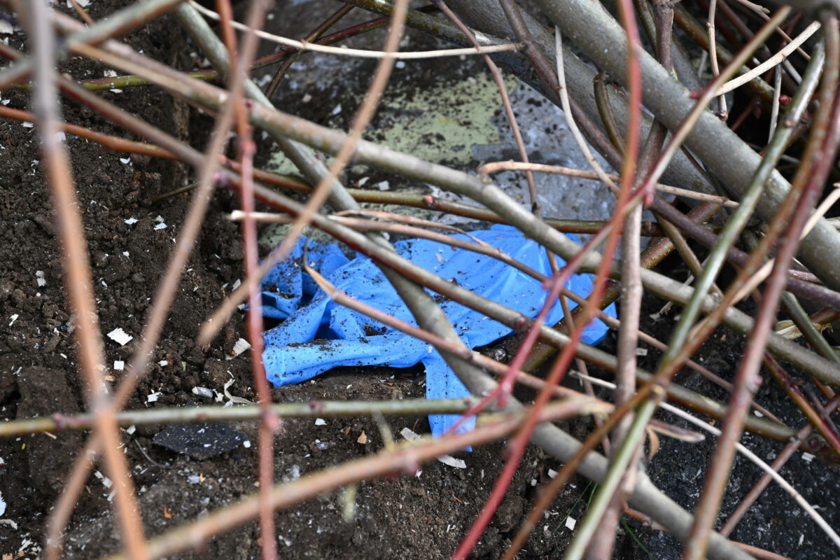 Roma, cade un albero in via Cristoforo Colombo all'altezza di viale Asia: danneggiati due veicoli e ferita una persona