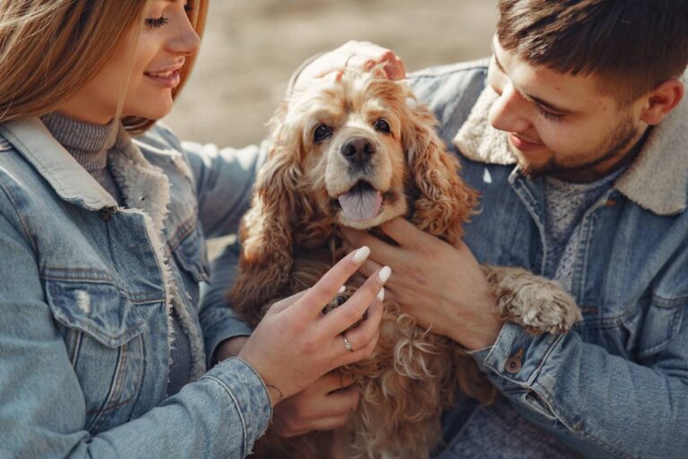 I cani riflettono i livelli di stress del proprietario e non il contrario: nuova ricerca