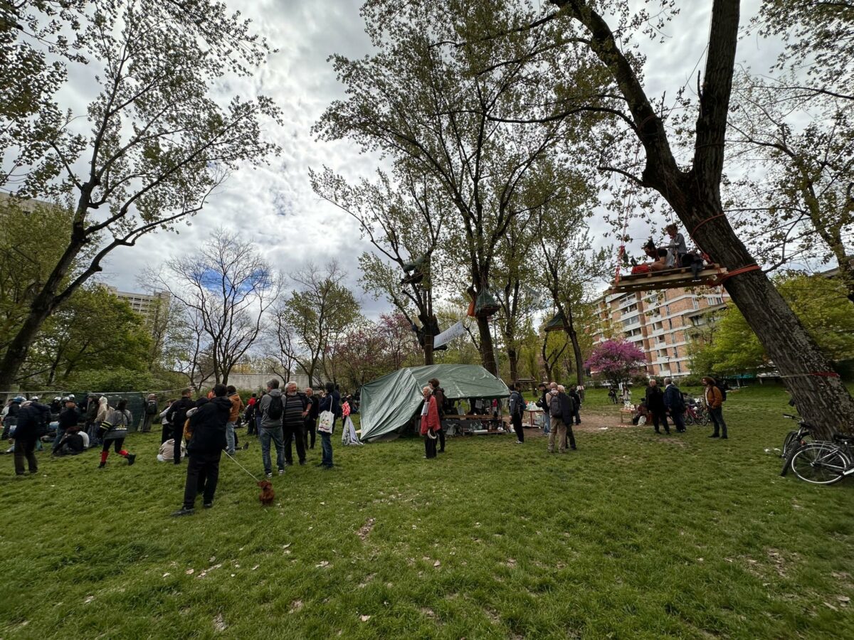 Parco Don Bosco di Bologna, Gianni De Giuli (Comitato Besta): "Continueremo a difendere gli alberi. Lepore? Non ascolta i cittadini"