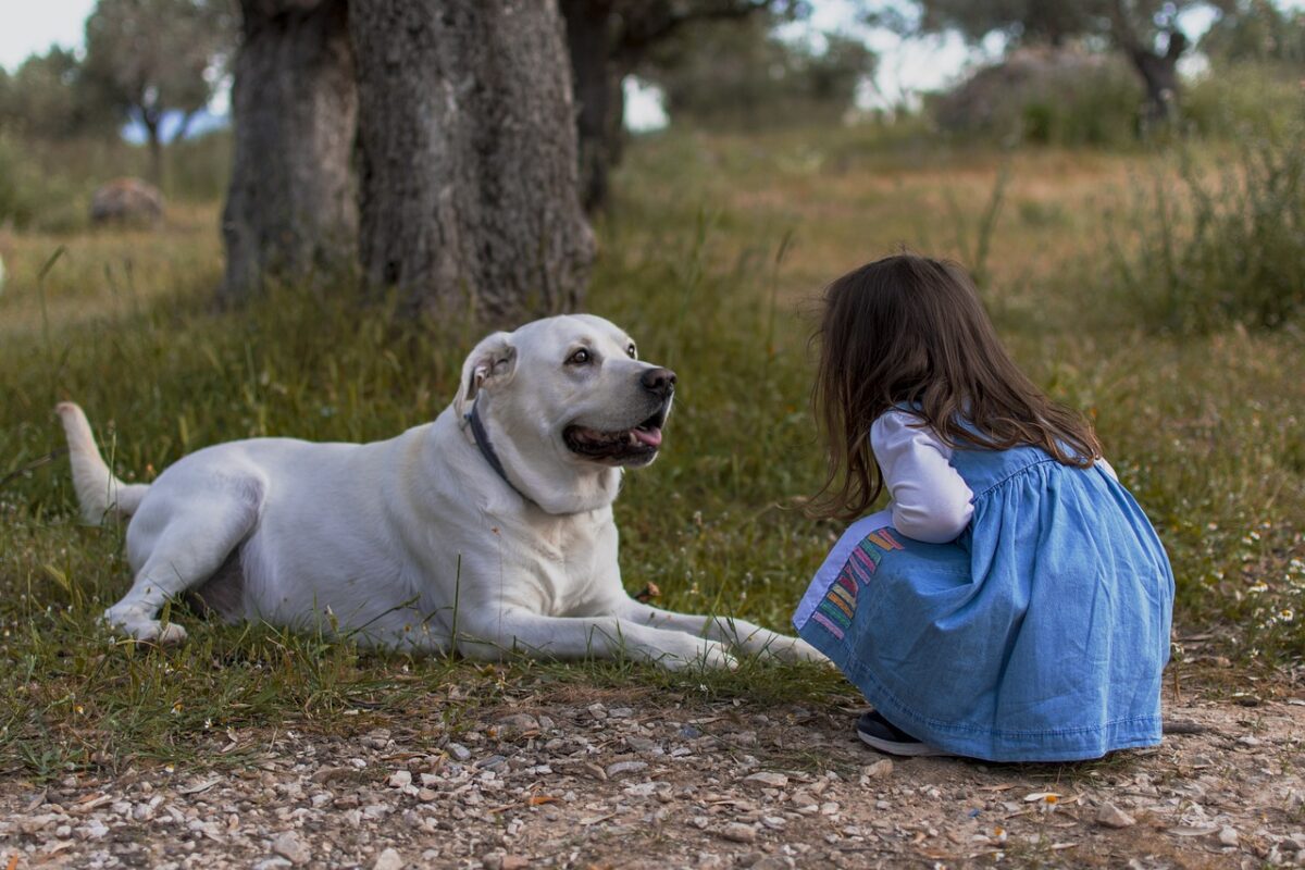 Roma, bimba di 2 anni aggredita da un cane: è in prognosi riservata