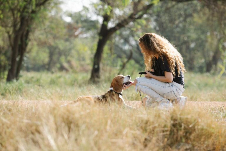 Concorso Comune di Corigliano Rossano per 2 operatori di canile: requisiti e domanda