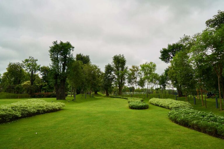 Stare nel verde migliora la salute mentale, anche se lo si fa per pochi minuti al giorno