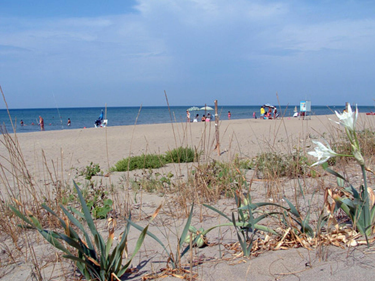 Bandiere Blu 2024: premiate 236 località, ecco quali sono le migliori spiagge d'Italia