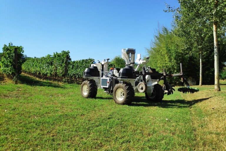 Domanda Pac 2024 agricoltori: nuova scadenza richiesta contributi e modalità di invio