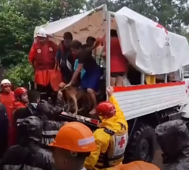 El Salvador, maltempo su tutto il Paese: piogge e inondazioni provocano 12 morti e duemila sfollati | VIDEO