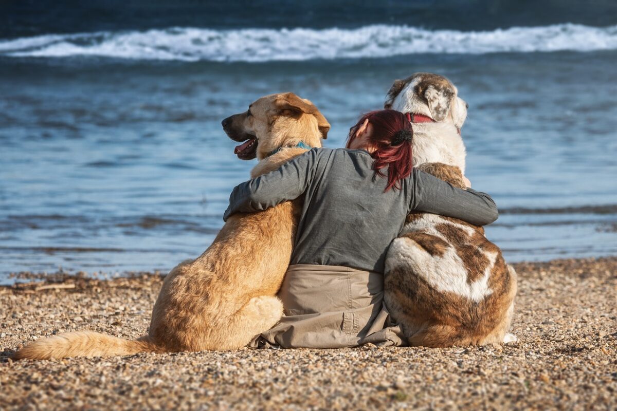 Spiagge migliori italiane con accesso ai cani 2024: le più adatte al vostro amico a quattro zampe