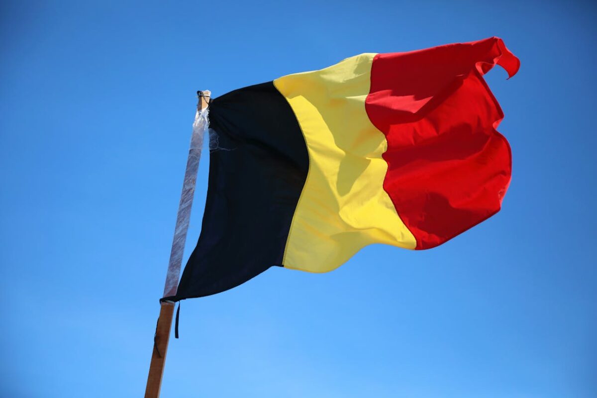 Elezioni federali, regionali ed europee in Belgio 2024: risultati e tendenze