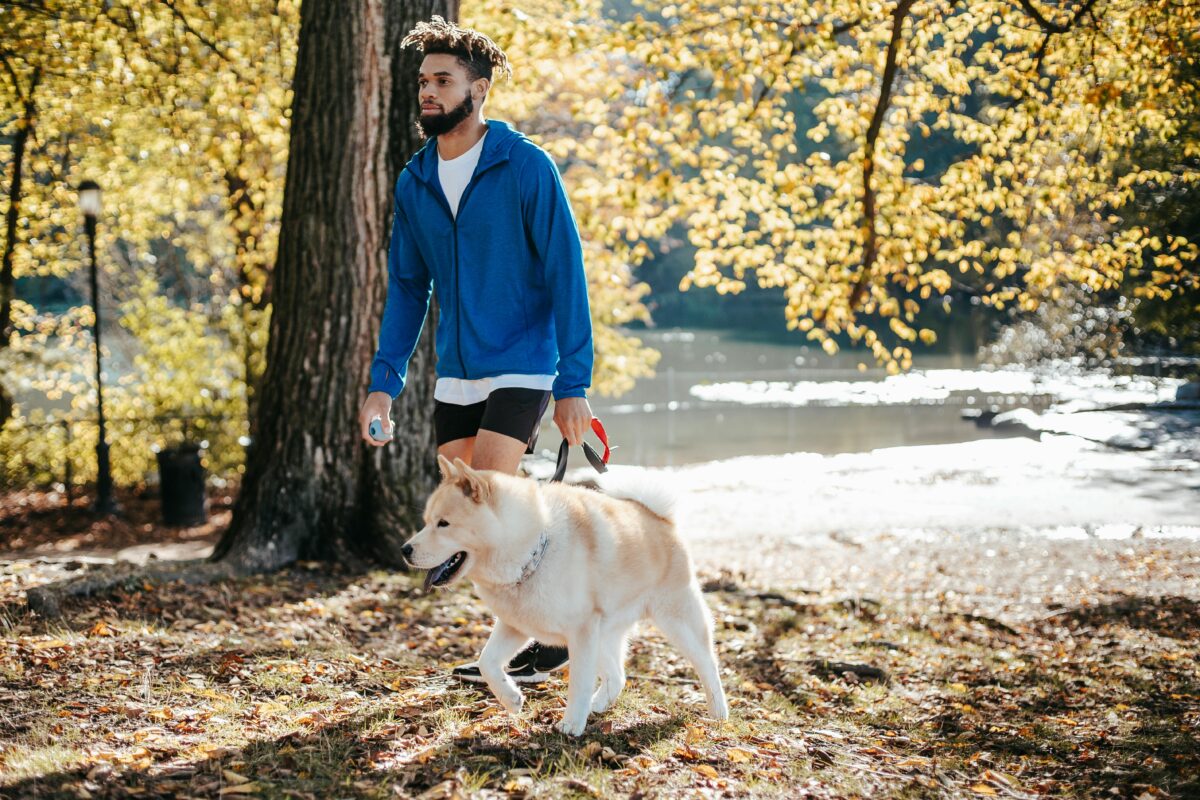 Cosa non deve fare il cane nei luoghi pubblici? Bon ton e obblighi di legge