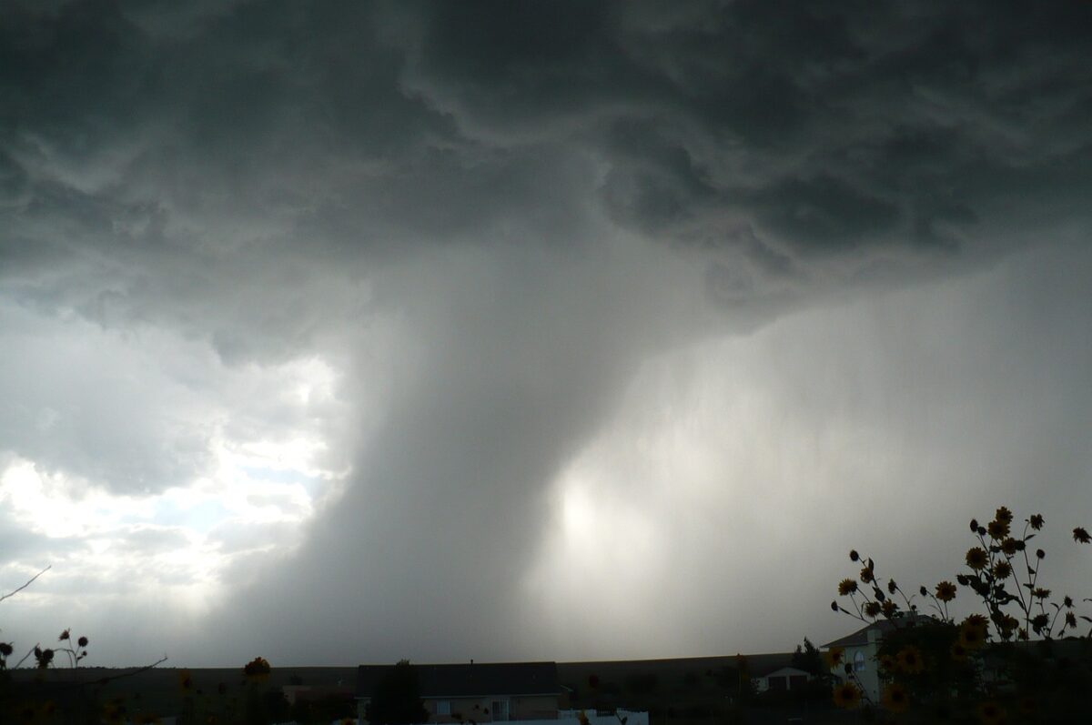 Tromba d'aria a Rovigo oggi 25 giugno 2024: danneggiati tetti e auto nella Bassa Padana | FOTO e VIDEO